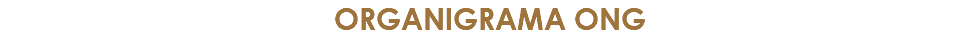 organigrama ong